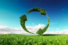 Circular_Economy_Sustainability_ICPG