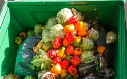 food-waste-how-plastic-packaging-can-help